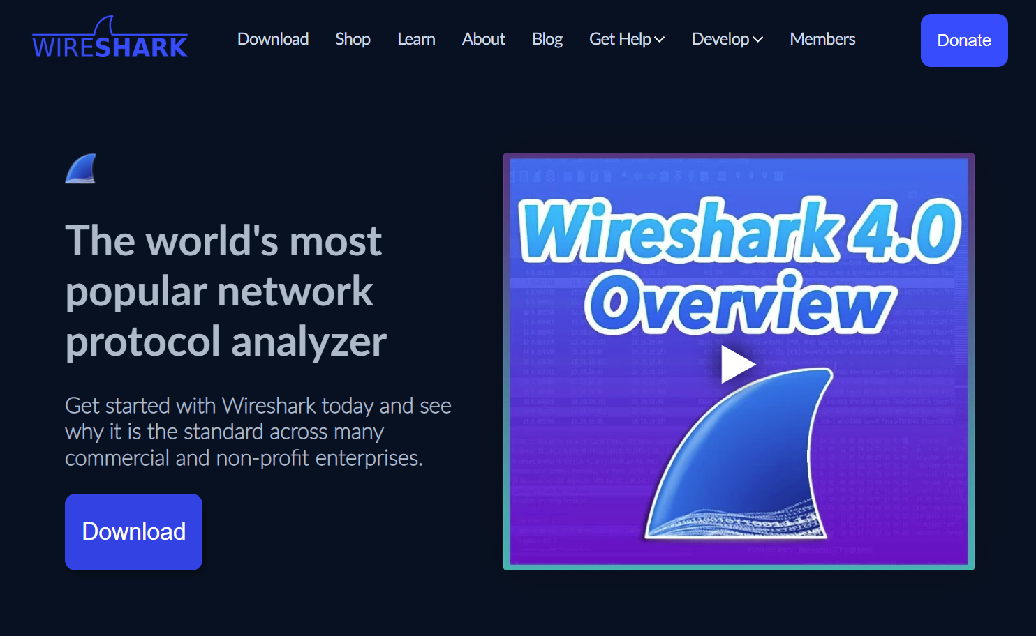 Wireshark 官网下载页面截图（Download 按钮）
