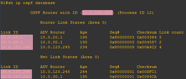 R1的OSPF数据库截图