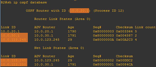 R2的OSPF数据库截图