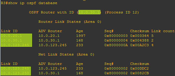R3的OSPF数据库截图