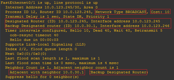 R1的f0/1接口OSPF数据截图
