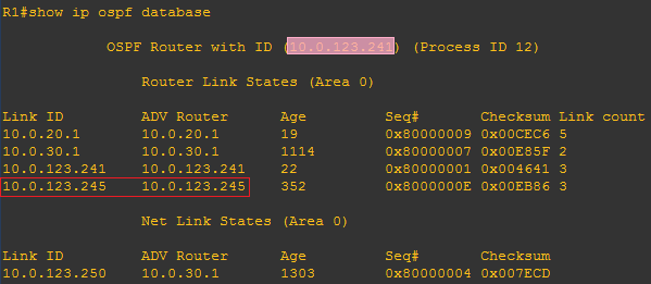 R1重启后OSPF数据库截图
