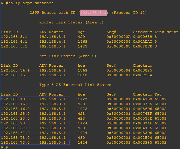 R5 的 OSPF 数据库截图(从 BGP 重分发的外部链路)