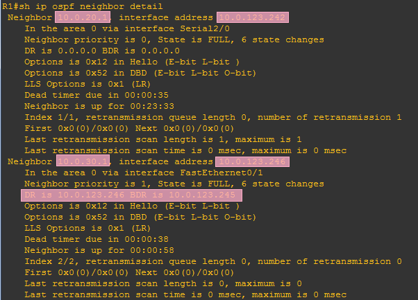 R1邻居信息截图