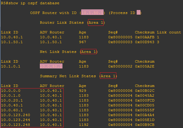R5多域OSPF数据库截图