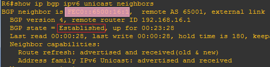 R6 的 IPv6 邻居信息截图(邻居状态 Established)