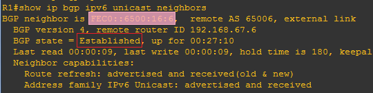 R1 的 IPv6 邻居信息截图(邻居状态 Established)